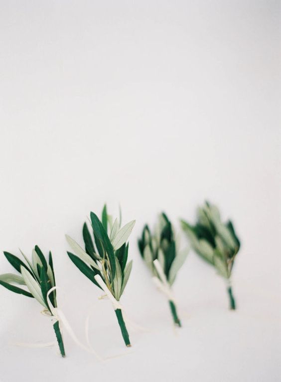 Symbolic Buttonhole